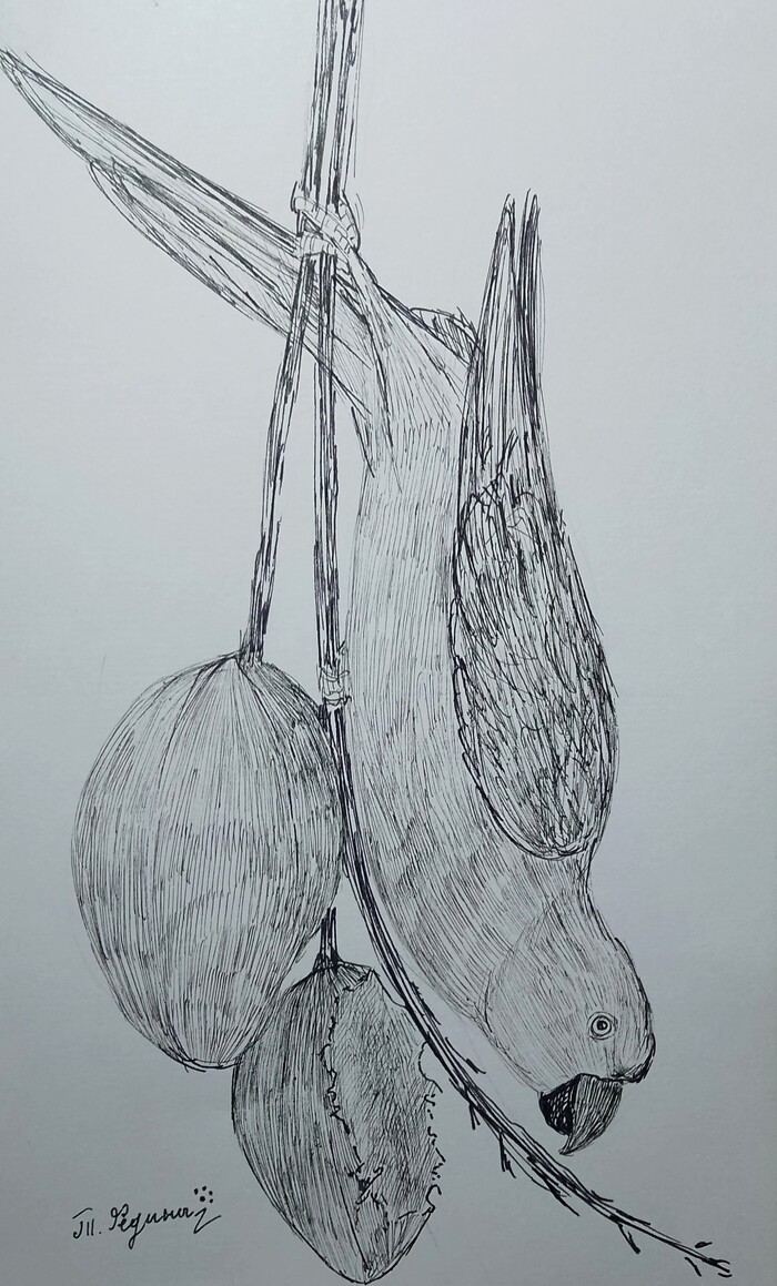 ���������� ������� �������