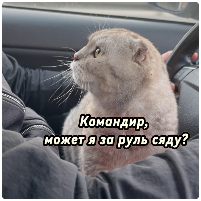 �����, ��������, ��� ������� ��� �����!