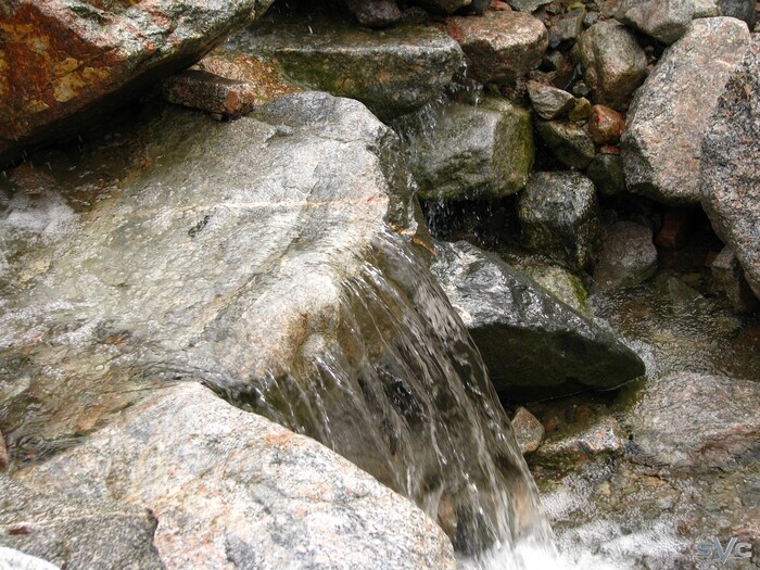 А тут набирали воды для чая и компота с жимолости