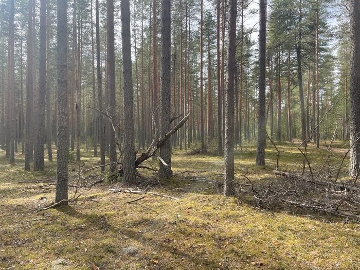 �� ���������