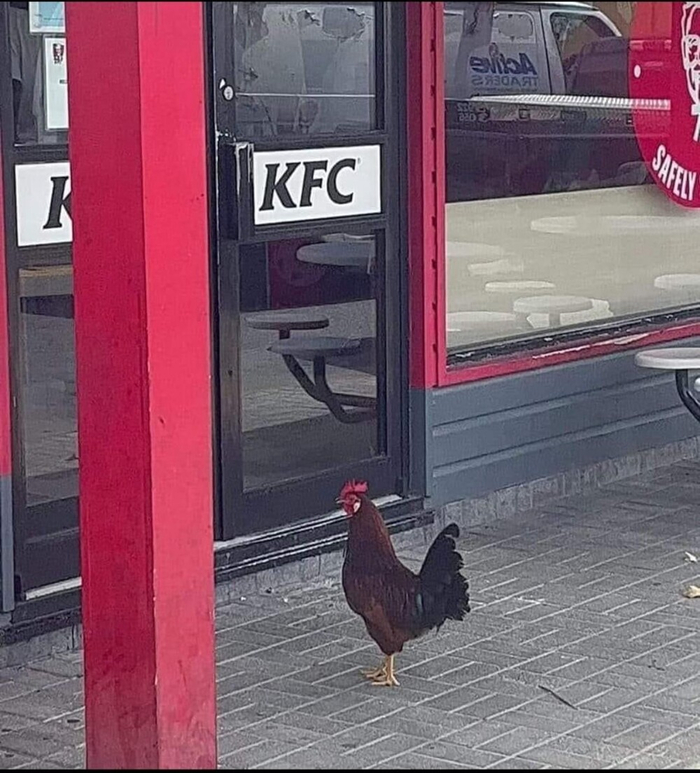 �� � �� �����