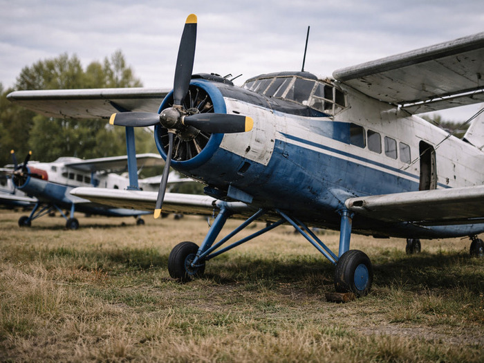 Коллаж: генерация ChatGPT