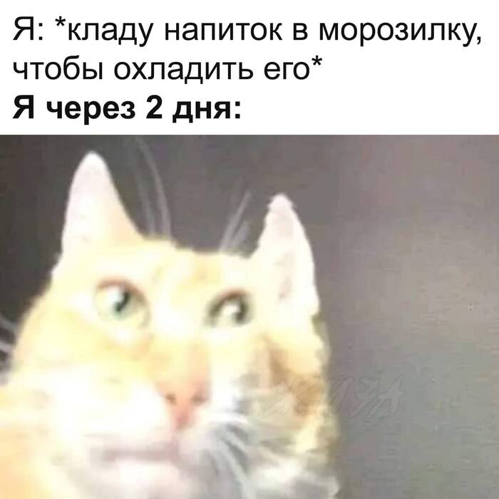 ����� �� �� �����