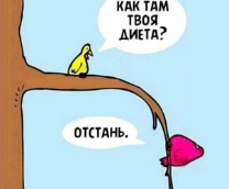 ������������-�����������������