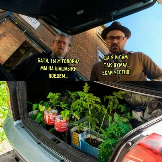 �� ��� ����� ��� ������-�� ������ ��������!