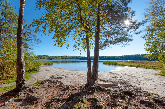 ����: ����� ��������� <a href="https://pikabu.ru/story/podruzhki_13882762?u=https%3A%2F%2Frtraveler.ru%2Fphoto%2F1482403%2F%3Fnew_photos%3D1&t=%D0%BE%D1%82%D1%81%D1%8E%D0%B4%D0%B0&h=28eecec1c29b59a94d681fc805b55f39fd6f9383" title="https://rtraveler.ru/photo/1482403/?new_photos=1" target="_blank" rel="nofollow noopener">������</a>