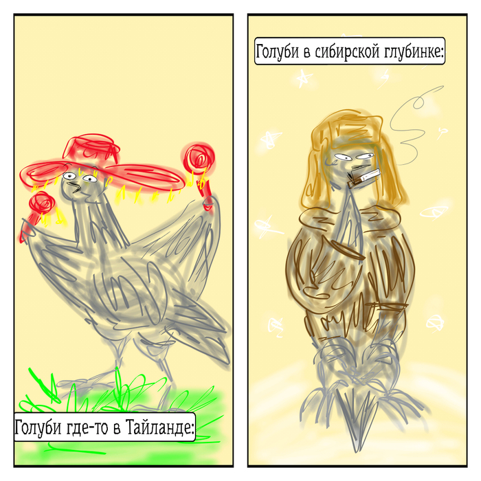 �- ������