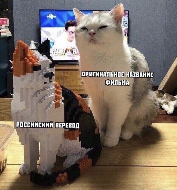 �������� vs �������