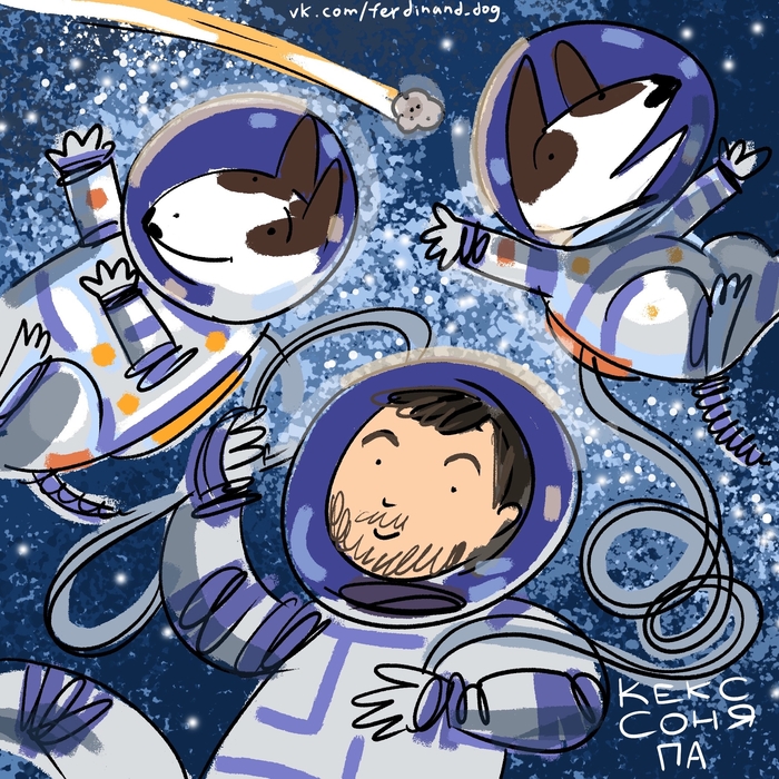 �������� � �����������