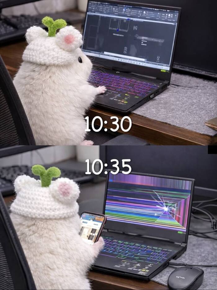 �������