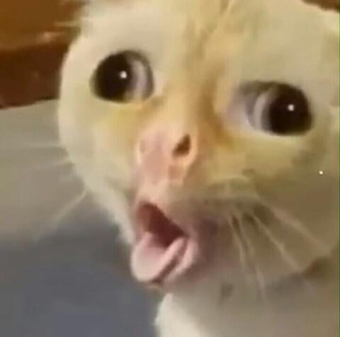 �