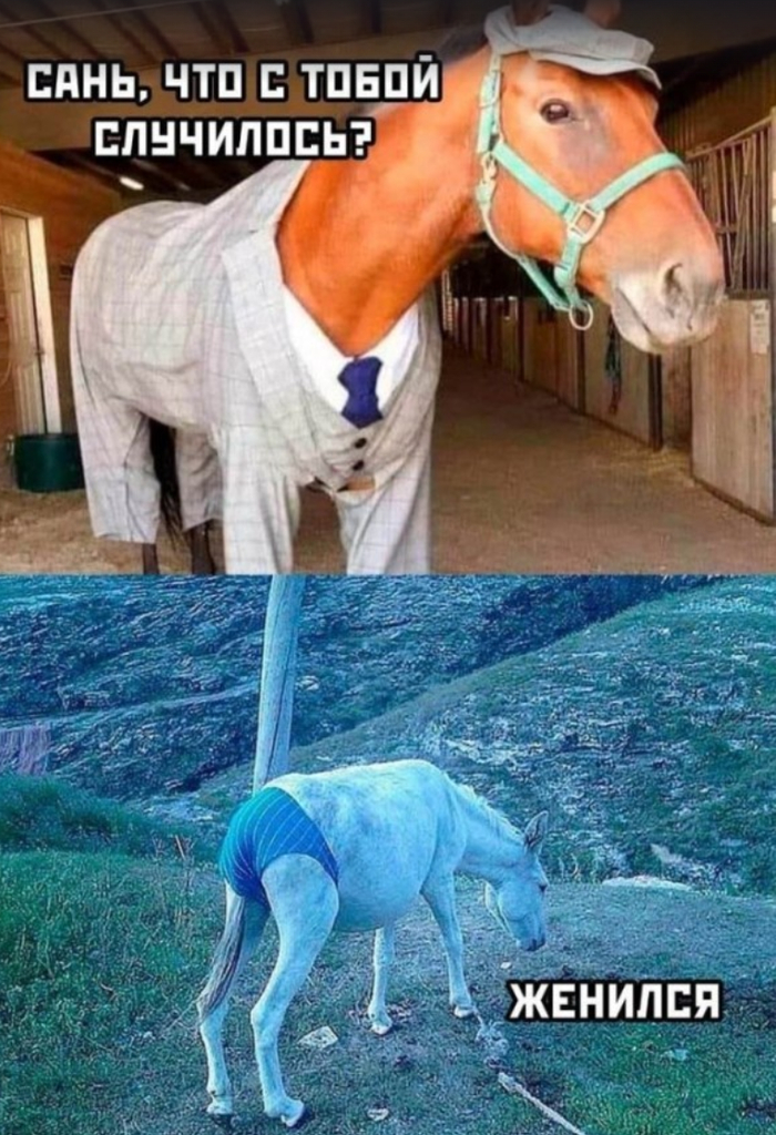 ������! ������ � ��������!