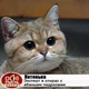 ������ ������������ user11005344