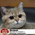 user11005344