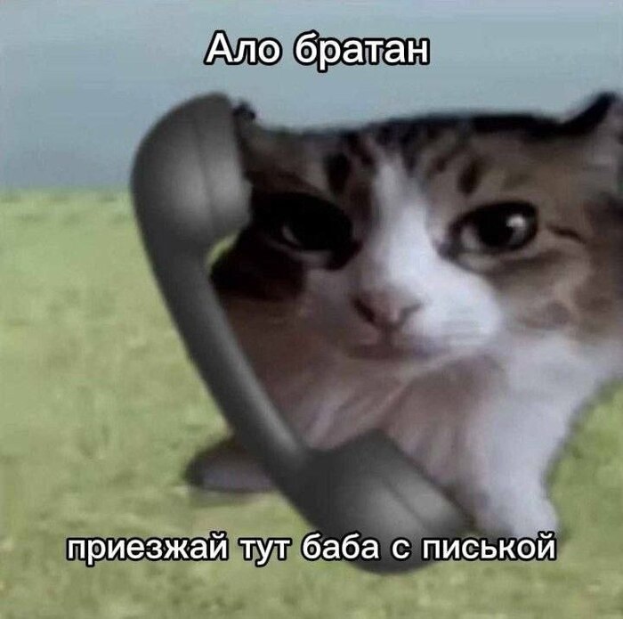 ��????