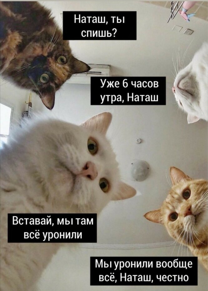 ����� ����� �����...