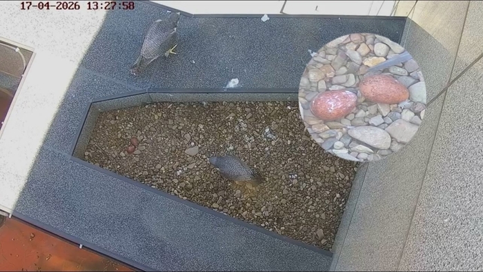 � �������� � ������ ��� ��� ����