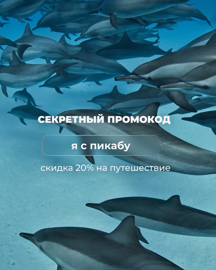 ����������� �� �����, ������ ��� � ��������� �� ������������ ��� � �������