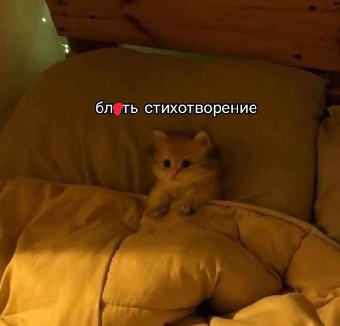 � ���� ����