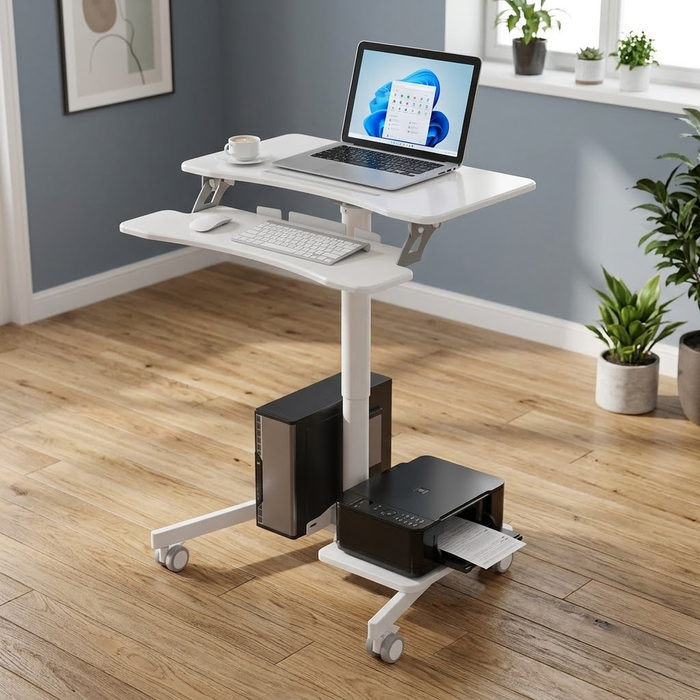 ���� ��� ��������