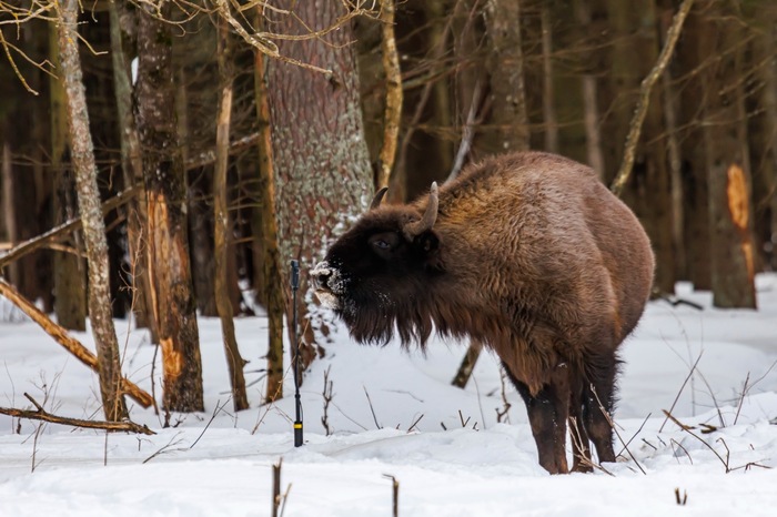 � ��� ����� � ������ � ���� ������ � ��� ��������� �� ������, �� ��� ��� ��� �������� ����� �� ������ ��� ��� ��� 