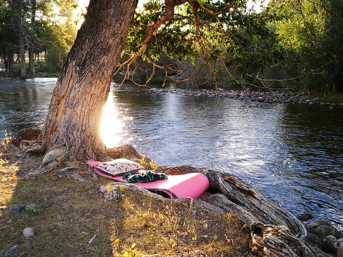 ��������, �����������