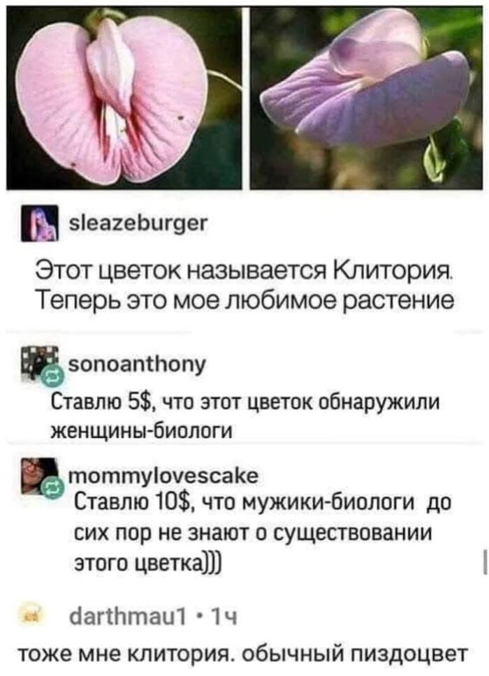 ���� ����� ...����