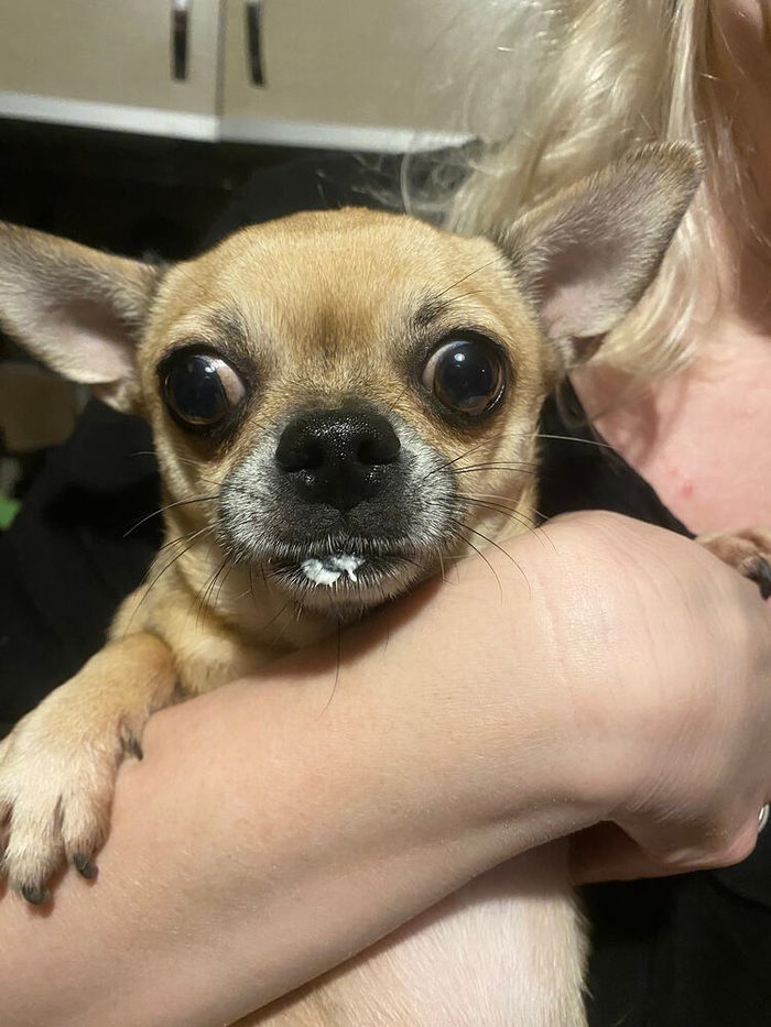 ������� �� ���, ��, �� �, ����� ������