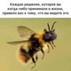 ������ ������������ user9782147