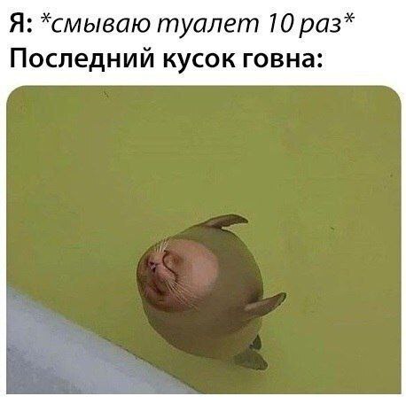 ������