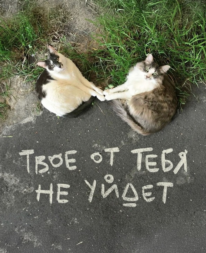 Живите по настоящему