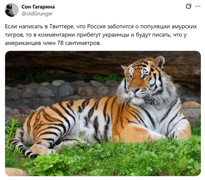 Проверял кто? Надо бы проверить