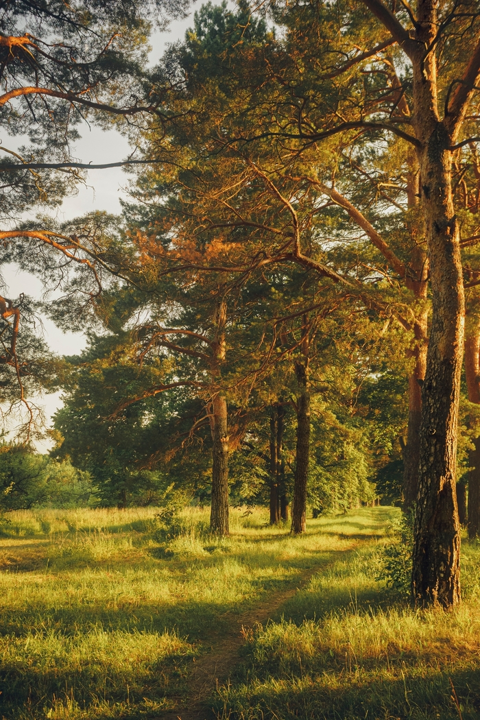 ������: Sony A7 (��������: 1/125, ISO-500). ��������: Auto Revuenon 35mm 1:2.8. ���������: LR.