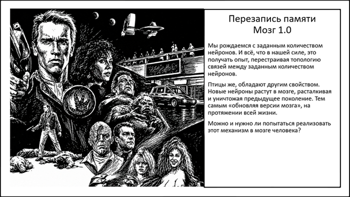 Новая модель восстановления мозга. Перезаписывая воспоминания