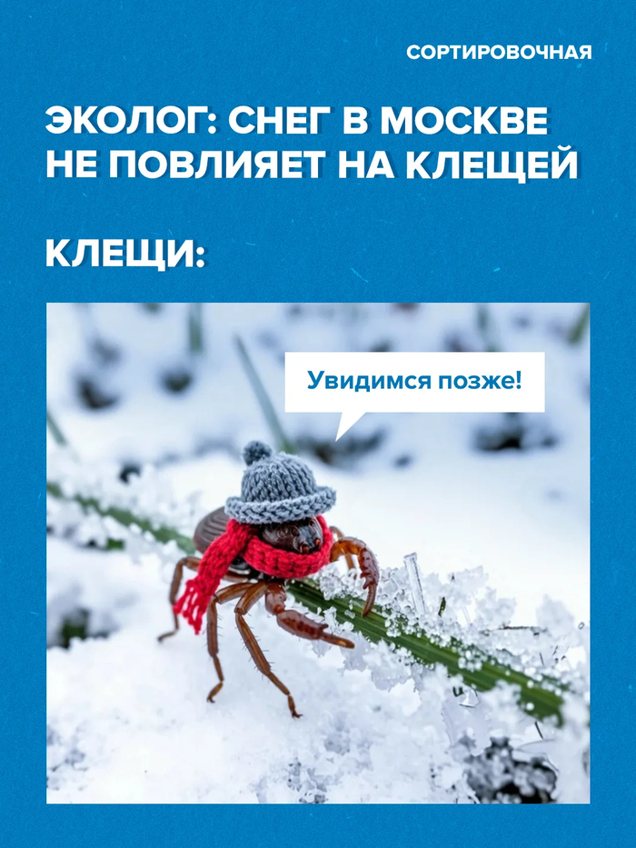 �������� ���� � ���������� ������� �� �������� ������, ������� � �������