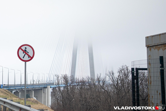 ����� ������ / <!--noindex--><a href="https://pikabu.ru/story/lyudinevidimki_vladivostokskikh_mostov_kto_sledit_za_poryadkom_i_bezopasnostyu_poka_myi_edem_13927162?u=http%3A%2F%2FVLADIVOSTOK1.RU&t=VLADIVOSTOK1.RU&h=65ff03fe28c7228e4127e83457e6f4a14f0430f6" title="http://VLADIVOSTOK1.RU" target="_blank" rel="nofollow noopener">VLADIVOSTOK1.RU</a><!--/noindex-->