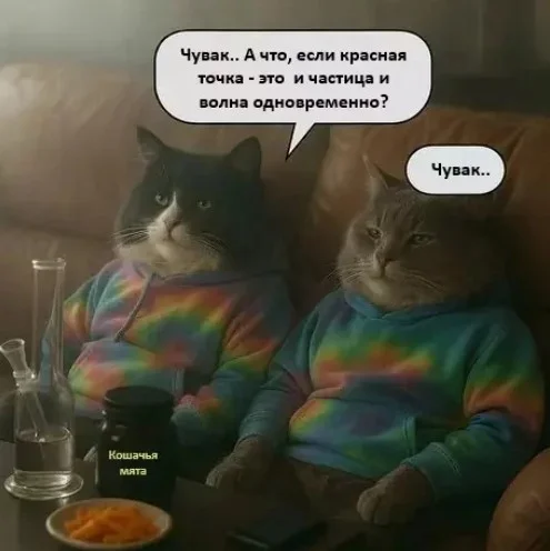 cituxjvv.webp