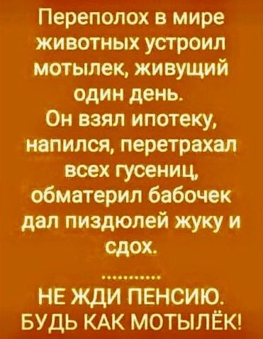 Мотылёк