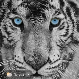 user11132745