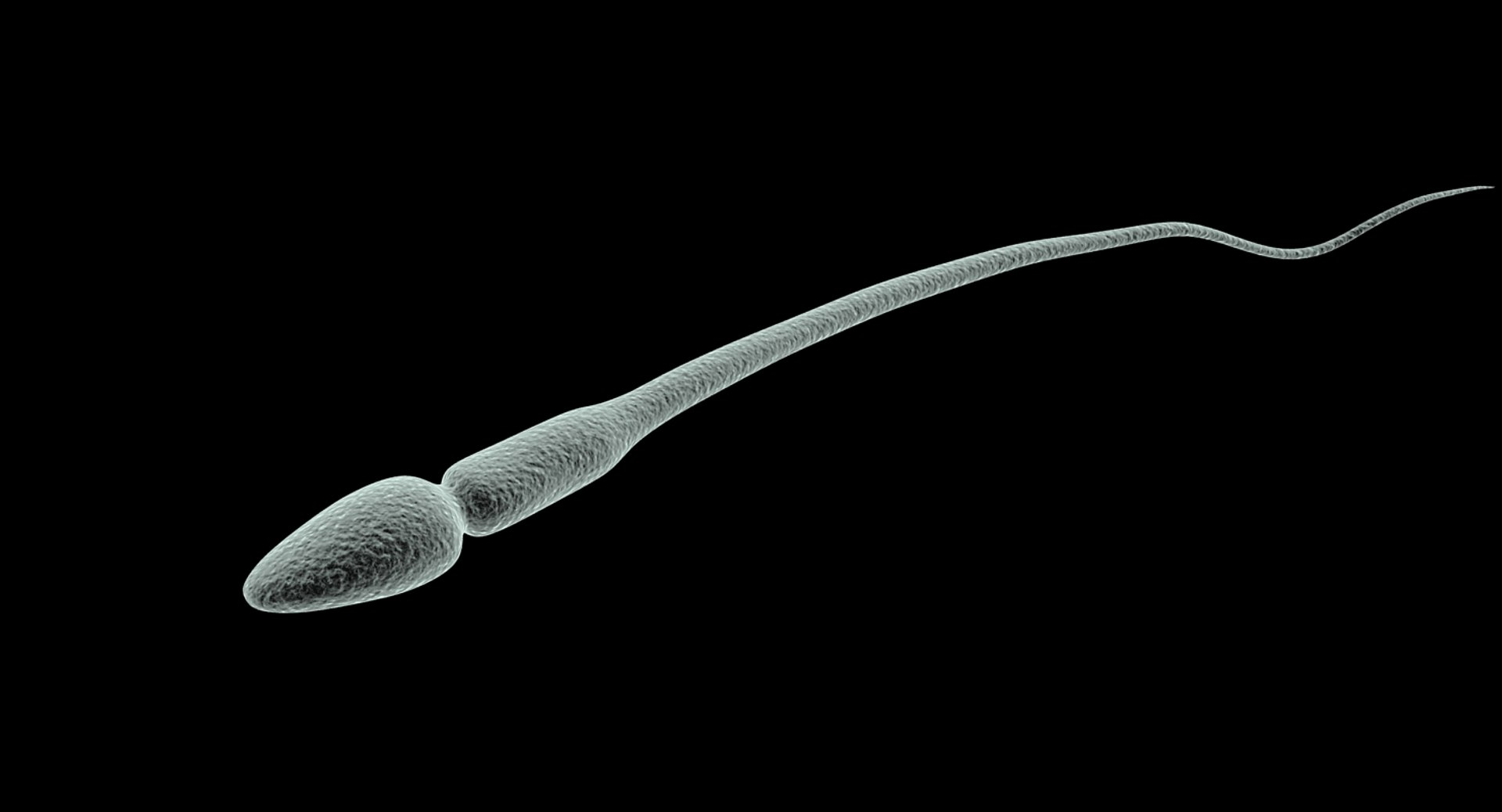 Gauree's reply to Just think... - My, Birthday, Short post, Thoughts, Life stories, Reply to post, Childhood in the USSR, Made in USSR, Old photo, Sarcasm, Sperm, A wave of posts