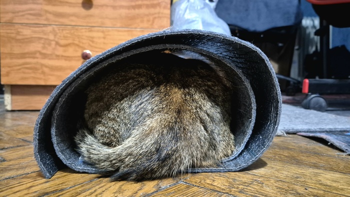 ����� ���� �� ����