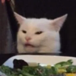 Crychinaqatar