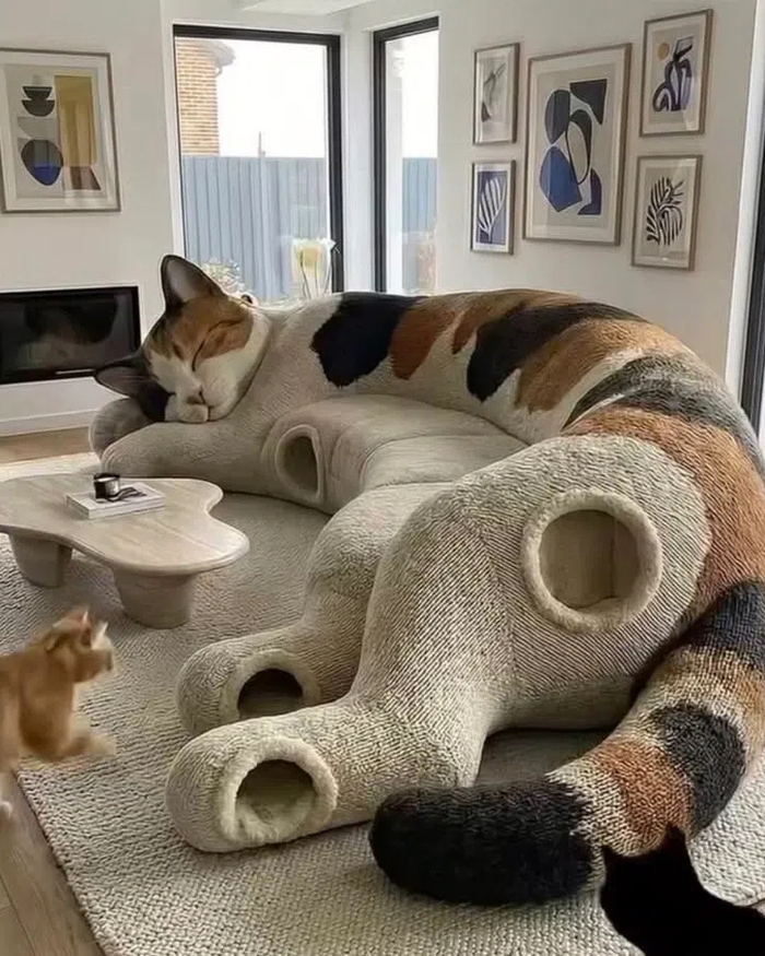 ��� � ����� ������ ����� ����� �����