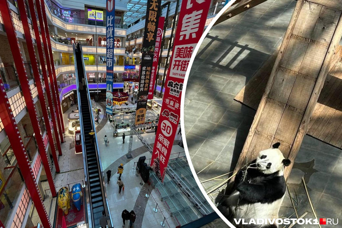 ����� ������� / <!--noindex--><a href="https://pikabu.ru/story/v_torgovyikh_tsentrakh__derevya_i_reki_a_v_parkakh__skulpturyi_chto_est_v_chanchune_krome_tigrov_i_pand_13947637?u=http%3A%2F%2FVLADIVOSTOK1.RU&t=VLADIVOSTOK1.RU&h=65ff03fe28c7228e4127e83457e6f4a14f0430f6" title="http://VLADIVOSTOK1.RU" target="_blank" rel="nofollow noopener">VLADIVOSTOK1.RU</a><!--/noindex-->