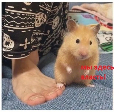 �������� ������������-����������