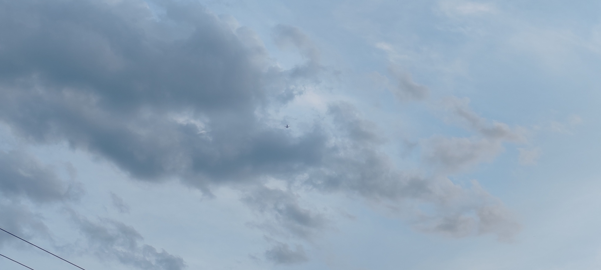 Simple village happiness - Series Our Village House, My, Village, Spring, Gardens, Joy, Walk, Forest, Bloom, Airplane, Starling, House, Nature, dawn, Sunset, The sun, Water, MKAD, Text, Longpost