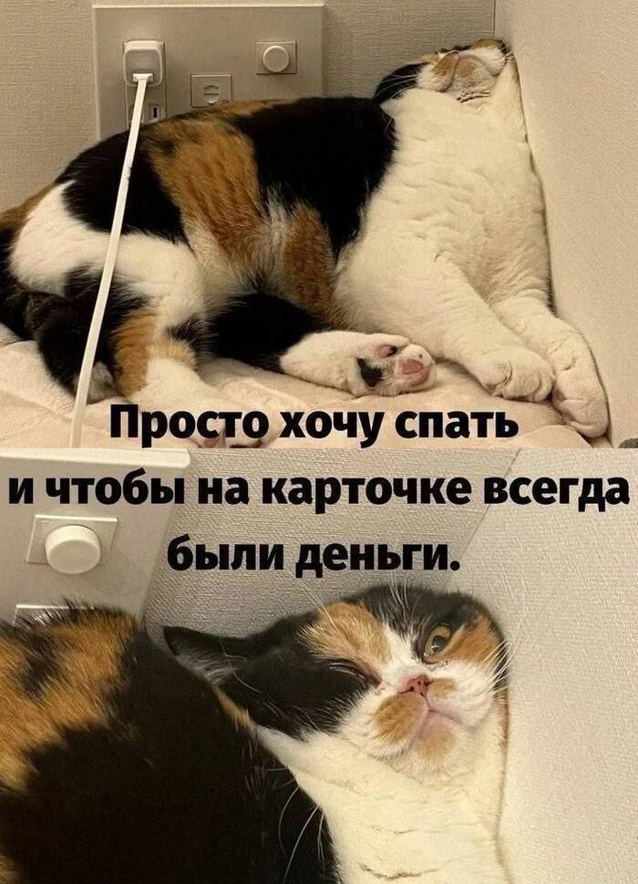 ������ ����!