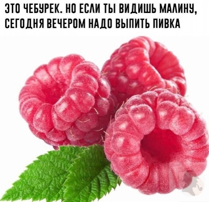 � �� ��� ������ �� ��������?! ���� �������� ��������