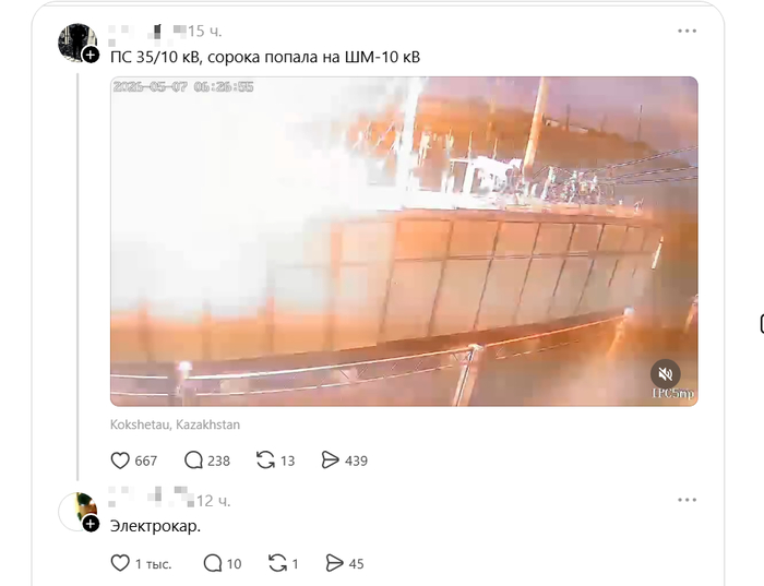 Вообще-то там было видео, в котором сорока делала прыг-прыг по шинному мосту, но ослепительно ошиблась, как не очень удачливый сапёр. Я сократил видео до одного кадра.