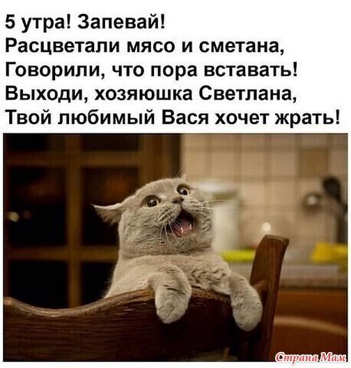������ "��-�������"